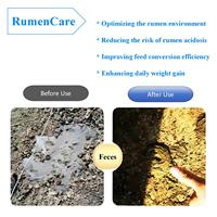 CP Group Additifs alimentaires RumenCare pour bovins moutons améliore le gain de poids quotidien Réduction des risques Acidose du rumen Vitamines de qualité alimentaire