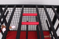 Cage de chasteté SM, sangle de chasteté, godemiché, dispositifs de bondage BDSM, cage métallique, mobilier sexuel pour couples