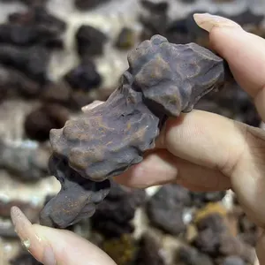 Großhandel natürliche Quarz fossile Probe Rough Stone Dinosaurs Shit
