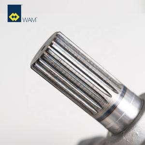 <span class=keywords><strong>WAM</strong></span> ES orta süspansiyon mili 168,219,273,323 konveyör vida TU Jiaolong kaldırma çapraz kaymak askı mili - Product Image 3