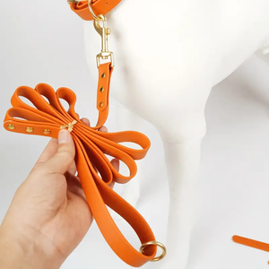 Suministros para mascotas más vendidos para hebilla de verano para correa de perro collares y correas de perro personalizados gancho de correa de pana colorida para mascotas - Product Image 5