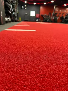 Nwt năng động <span class=keywords><strong>Turf</strong></span> nhân tạo chạy nước rút SLED cỏ bài hát phòng tập thể dục sàn - Product Image 5