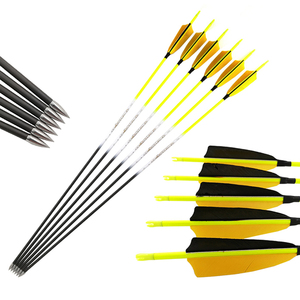 Flechas de Carbono Pinals de 4.2mm, 300-1200 Spine, para Adultos y Niños, Arco, Tiro con Arco, Caza, Práctica, Colores en el Eje - Product Image 4