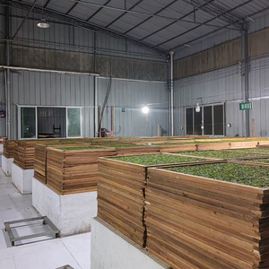 Clqq 5392 Hot Bán buôn Arabic kịch bản đóng gói lỏng lá trà chất lượng cao hạnh phúc Trung Quốc Trà Xanh Lá - Product Image 6