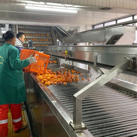 1~25 ton per uur op maat gemaakte, industriële, automatische, complete citrus- en sinaasappelsapverwerkingsinstallatie van roestvrij staal van voedingskwaliteit