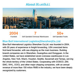 ตัวแทนขนส่งด่วนทางอากาศทางทะเลจัดส่งรวดเร็ว DP CIF FCL ส่งสินค้าถึงบ้านจีนไปยังสหราชอาณาจักร - Product Image 6