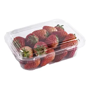 Contenedor de comida de plástico transparente personalizado PET fruta fresca arándano fresa con tapa de concha