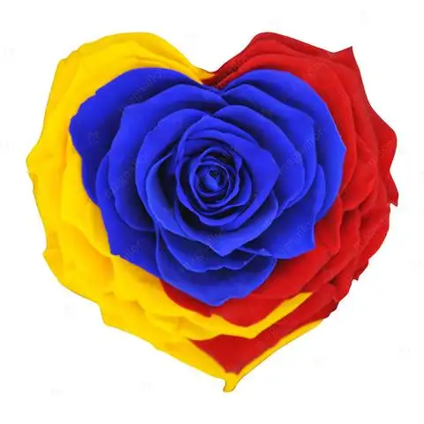 Colorful wholesale preserved roses preserved long lasting with stem