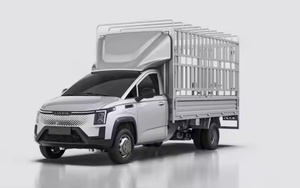 热销五菱G210P载货卡车，带桩体EEC电动货车53.58kwh新能源电动汽车货物围栏LHD - Product Image 5