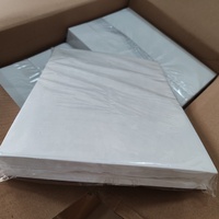 Fleurs comestibles en gaufrettes A4, 100 feuilles, 0,35 mm, vente en gros, directement de l'usine, en vrac, approvisionnement B2B, OEM, en stock, pour décorer les gâteaux et desserts