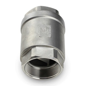 <span class=keywords><strong>Clapet</strong></span> <span class=keywords><strong>anti</strong></span>-<span class=keywords><strong>retour</strong></span> <span class=keywords><strong>vertical</strong></span> manuel en acier inoxydable avec extrémité vissée à ressort <span class=keywords><strong>anti</strong></span>-<span class=keywords><strong>retour</strong></span> - Product Image 1