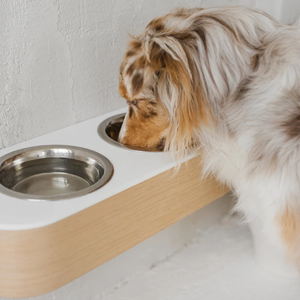 ODM OEM Soporte automático para cuencos de perro montado en piedra sólida Material de PC resistente al agua Superficie elevada alimentada por carga Comida para perros mediana Agua - Product Image 5