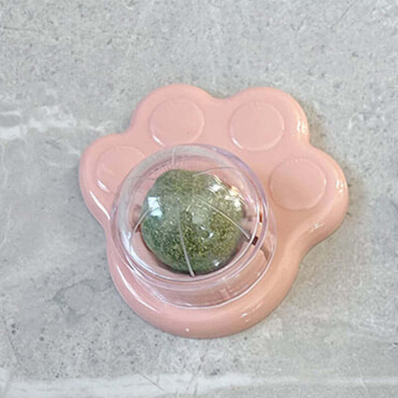 อุ้งเท้าแมวสีชมพู02