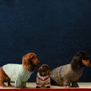 Pull épais chaud coupe-vent pour chat veste pour animaux <span class=keywords><strong>de</strong></span> compagnie pour grandes races jours froids <span class=keywords><strong>chien</strong></span> vêtements d'hiver - Product Image 4