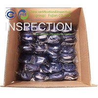 CCIC China Thirty Inspection Company à Shenzhen offre des services de contrôle de qualité pour les pantoufles