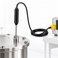 Sonde thermocouple de surface de type K à double aiguille WRNM-020 pour la mesure de la température des surfaces métalliques