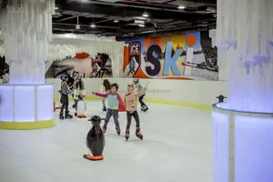 Offre Spéciale patinoires synthétiques en feuille de PE Meilleure patinoire synthétique patinoire de <span class=keywords><strong>hockey</strong></span> sur glace clôture à vendre - Product Image 6