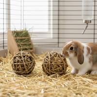 Ensemble de jouets en herbe marine pour lapin et petits animaux
