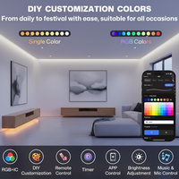 Luz Inteligente para Aleros de 1 Pie, 1 LED, ABS, IP67, Impermeable, Blanco Cálido, Control por Aplicación, DIY RGB+IC, Regulable, para Decoración Navideña