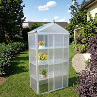 Mini-serre commerciale avec cadre en aluminium et polycarbonate