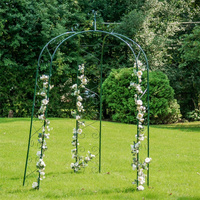Pergola de jardin rectangulaire moderne en fer pour plantes grimpantes avec finition thermolaquée pour mariage et fête