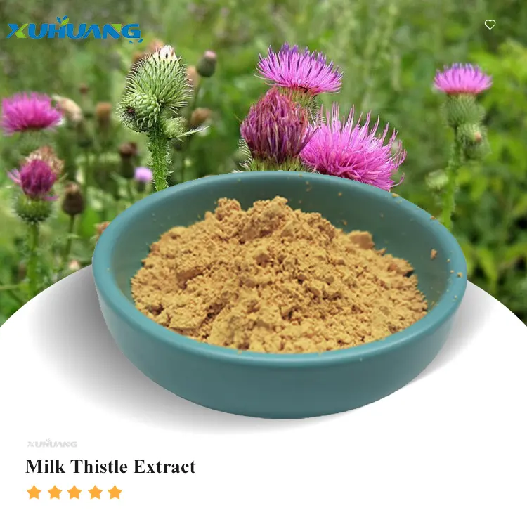 Ekstrak bubuk Susu thistle murni ekstrak susu kualitas tinggi ekstrak thistle 80% ekstrak susu organik silymarin