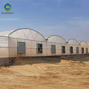 Sainpoly serre agricole polycarbonat gewächshaus hydrokultur gewächshaus von china - Product Image 5