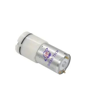 Hp Power Sui Pompa Gas Perusahaan Di Cina 555 Motor Pompa Vakum Mini Diafragma Dc Pompa Air Submersible 24V