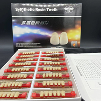 Dents en Résine Acrylique Dentaire Multicouches OEM pour Prothèses Dentaires