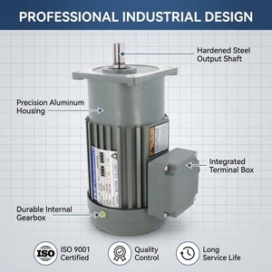 <span class=keywords><strong>Motorreductor</strong></span> Trifásico de 1/4 HP 200W 380V con Eje de 18mm y Caja Reductora Vertical para Maquinaria de Empaquetado Automática - Product Image 2