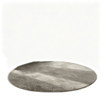 Tapis minimaliste uni à couverture complète, 100% polypropylène, ignifuge, doux, rond, pour chambre à coucher, salon, décoration intérieure
