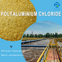 Chlorure de polyaluminium PAC, agent de traitement des eaux usées industrielles, agent de purification, floculant pour la clarification de l'eau