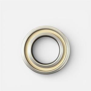 Roulement en acier inoxydable 6011 55x90x18mm S6011-2RS étanche de qualité alimentaire pour applications marines, agricoles, pompes à boissons, chimiques <span class=keywords><strong>et</strong></span> moteurs - Product Image 1
