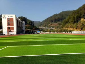 <span class=keywords><strong>Gazon</strong></span> artificiel de qualité supérieure pour terrain de football de 50 mm - <span class=keywords><strong>Gazon</strong></span> artificiel rempli pour les compétitions internationales - Product Image 1