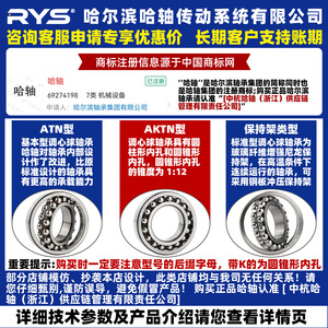 ตลับลูกปืนเม็ดกลมปรับแนวได้เอง RYS ขนาด 50 มม. ความแม่นยำระดับ P5 ผลิตจากเหล็กโครเมียม 2RS ซีลยาง ผลิตในจีน - Product Image 2