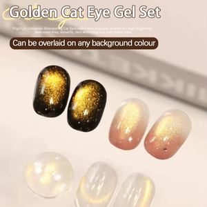 ZRKGEL คอลเลคชั่นใหม่ 4 สี ยาทาเล็บเจลตาแมวสีทอง เม็ดสีแน่น ปราศจากสาร HEMA/TPO รับผลิตแบบ OEM ชุดยาทาเล็บเจลตาแมว อุปกรณ์สำหรับร้านทำเล็บ - Product Image 1