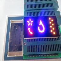 Module d'écran à affichage LED graphique personnalisé de la série FND Dip d'usine OEM ODM