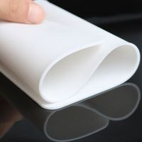 Accessoires de maquillage permanent double, en silicone de haute qualité, sûrs pour la peau, pratiques, pour la pratique du tatouage et du microblading pour débutants