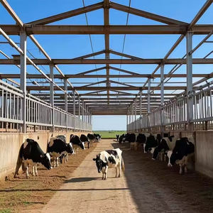 Bâtiment moderne de travail en acier de hangar de volaille de cadre de lumière de conception de la Chine pour l'atelier - Product Image 6