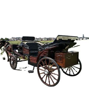 Carruaje de caballos eléctrico elegante para bodas con dosel maravilloso para transporte/Turismo transporte especial - Product Image 3