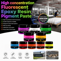 TIMESRUI Pigment Fluorescent Liquide de Haute Qualité pour Résine Époxy, Pâte Colorante Néon 10 Couleurs pour Pigments Cuir, Bricolage et Cadeaux
