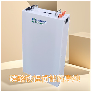 ติดผนัง51.2V 100/200Ah LiFePO4เก็บพลังงานแสงอาทิตย์แบตเตอรี่ไฮบริดระบบกริดพร้อมพอร์ตสื่อสาร Rs485 - Product Image 5