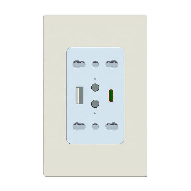 New Product Wifi Socket With 2 USB Ports by Tuya Smartlife App Remote Controlling