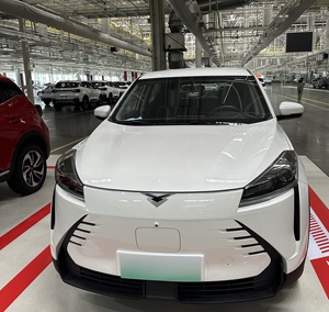Véhicules SUV électriques avec conduite à droite Voiture avec conduite à droite <span class=keywords><strong>X3</strong></span> <span class=keywords><strong>Pro</strong></span> Véhicule électrique pur - Product Image 1