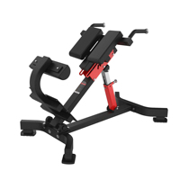 TOPTONS Chaise romaine commerciale Gym Équipement de fitness Banc d'extension arrière Musculation Chaise romaine