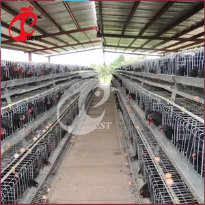 A Types Layer Battery Chicken Cages Kenya Poultry Farms Of Laying Egg
