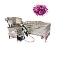 Fruitwas- en sorteermachine, Cassavewasmachine, Groentewas- en droogmachine