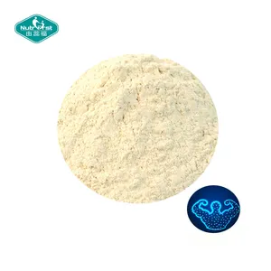 Nutritreen ISO Factory Bulk creatina Supplement 200/80 Mesh creatina monoidrato in polvere CAS 6020-87-7