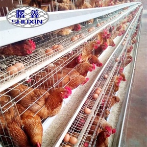 Ethiopia Gia Cầm Trang Trại Bán Hot Lồng Gà Kết Cấu Thép Thiết Kế Gia Cầm Trại Đổ Gà Cho Lớp - Product Image 2