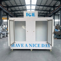 Congélateur commercial pour glace en sacs Mr Frio, compresseur Danfoss, acier peint, réfrigérant R290, certifié CE, garantie 1 an